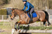 LeMieux Close Contact Suede Jump Square - Large range of colours