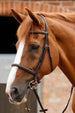 Premier Equine Mossimo Cavesson Bridle