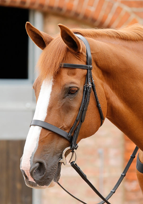 Premier Equine Sport Primo Hunter Bridle - Pony, Cob and Full