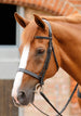 Premier Equine Sport Primo Hunter Bridle - Pony, Cob and Full