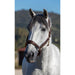 LeMieux Anatomic Headcollar - REDUCED!