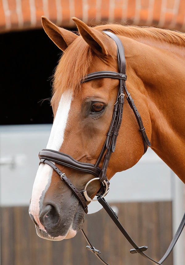 PE Sport Favoloso Anatomic Bridle