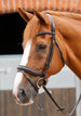 PE Sport Favoloso Anatomic Bridle