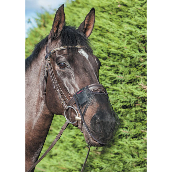 LeMieux Comfort Shield Nose Filter Black