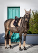 LeMieux Luxury Suede Dressage Square - 18 Colour options available Pony/Hack!!