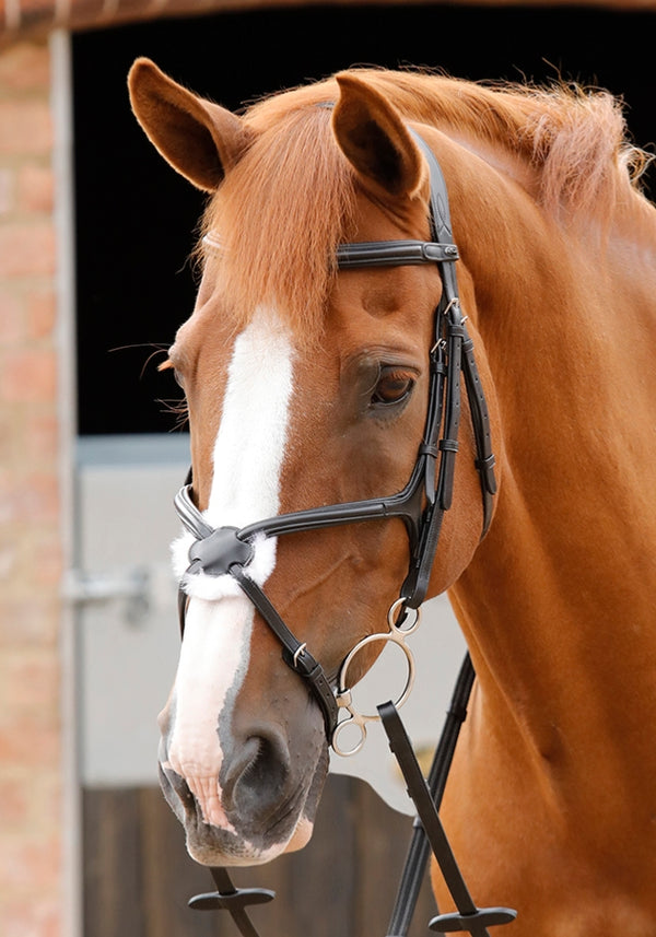 PE Sport Glorioso Grackle Bridle