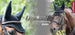 LeMieux Diamante Acoustic Fly Hood 3 Colours!
