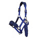 LeMieux Vogue Headcollar & Leadrope- 15 Colours