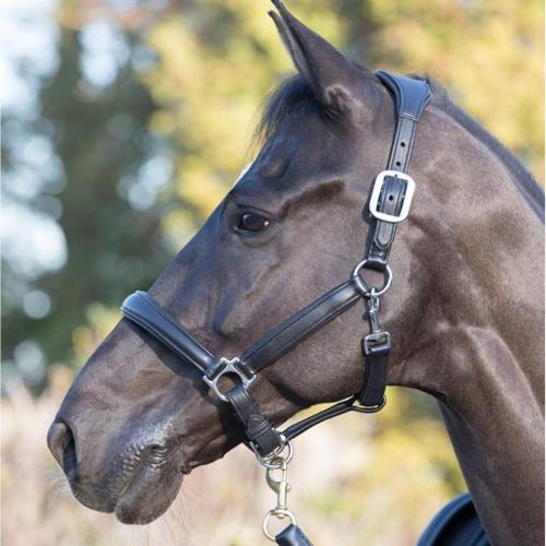 LeMieux Anatomic Headcollar - REDUCED!