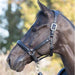 LeMieux Anatomic Headcollar - REDUCED!