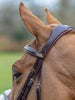 LeMieux Jump Bridle