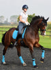 LeMieux Luxury Suede Dressage Square - 18 Colour options available Pony/Hack!!
