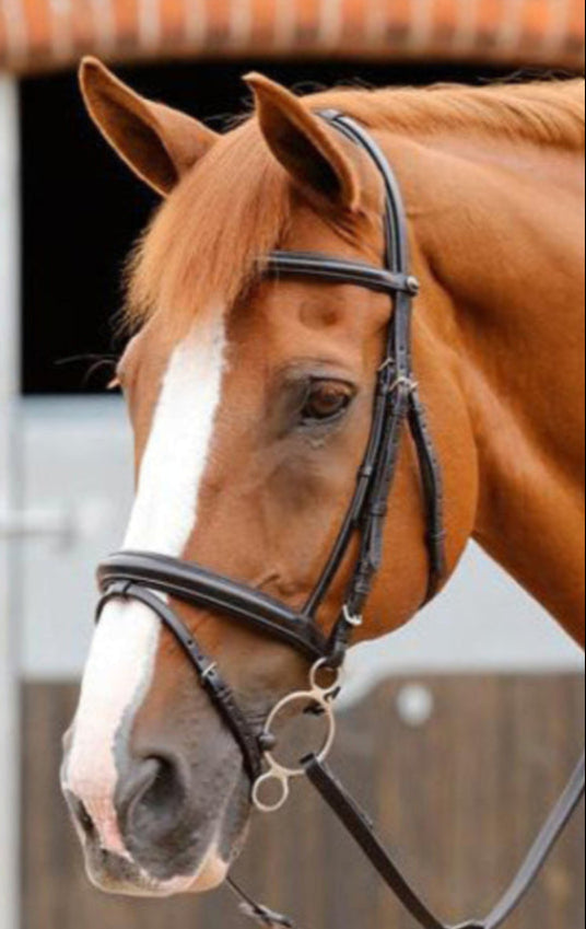 Premier Equine Delizioso Snaffle Bridle