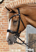 Premier Equine Abriano Anatomic Double Bridle