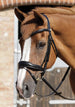 Premier Equine Rizzo Anatomic Snaffle Bridle with Flash