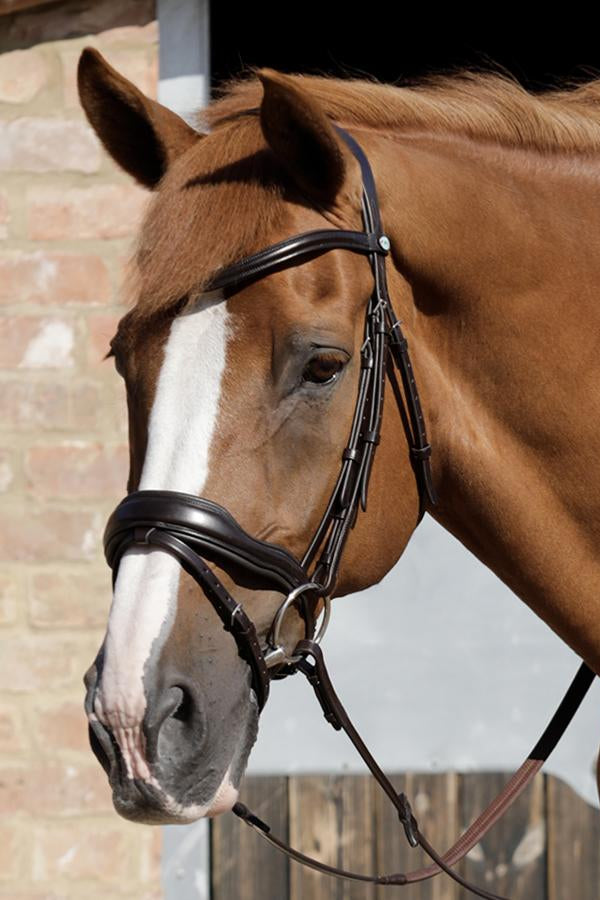 Premier Equine Rizzo Anatomic Snaffle Bridle with Flash