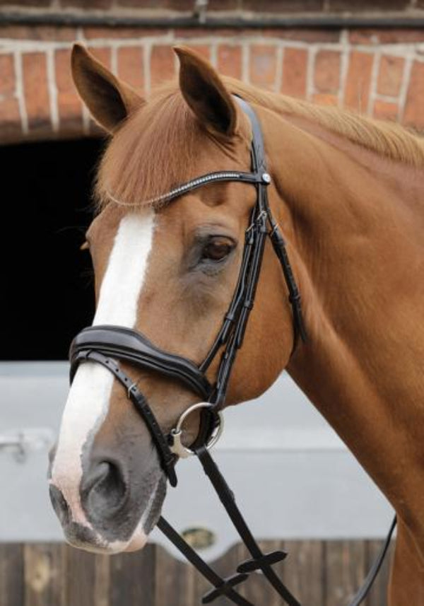 Premier Equine Stellazio Anatomic Snaffle Bridle with Flash - Sizing up to XF
