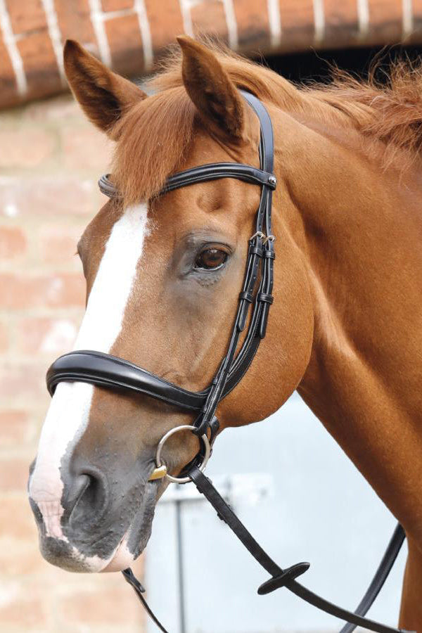 Premier Equine Lambro Anatomic Bridle with Crank Noseband