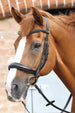 Premier Equine Lambro Anatomic Bridle with Crank Noseband