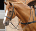 Premier Equine Salvatore Rubber & Leather Grip Reins