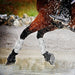 Majyk Equipe Boyd Martin XC Elite Boot (Front Boot) - PRICE REDUCED (Priced from $89)
