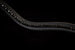 Fairfax Snaffle Bridle with Flash Noseband