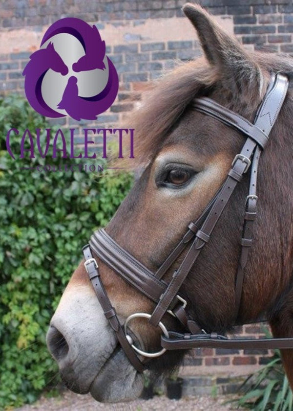Cavaletti Discovery Flash Bridle
