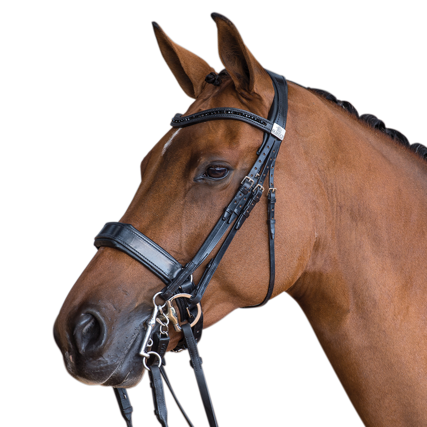 Fairfax Double Bridle with Cavesson Noseband