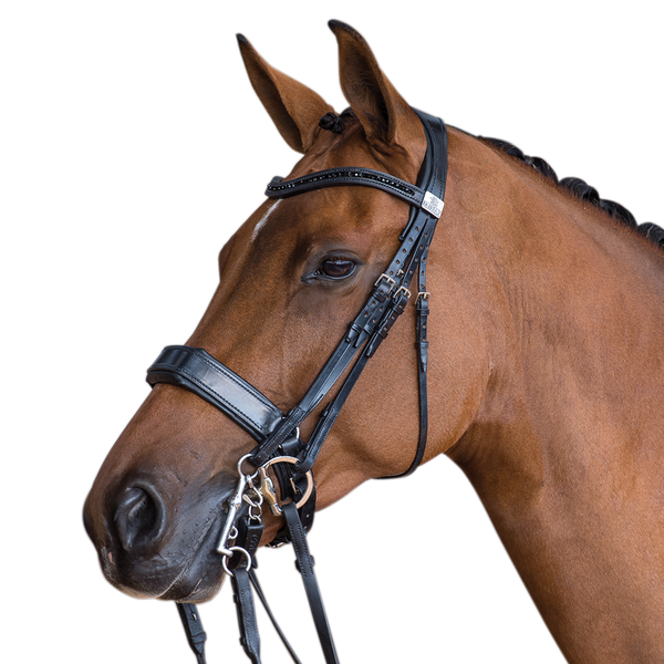 Fairfax Double Bridle with Cavesson Noseband