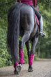 LeMieux Loire Polo Bandages