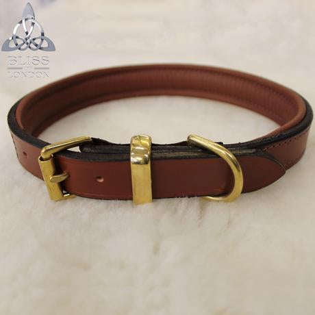 Padded Solid Leather Dog Collar. Reduced