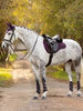 LeMieux Close Contact Suede Jump Square - Large range of colours