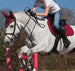LeMieux Close Contact Suede Jump Square - Large range of colours