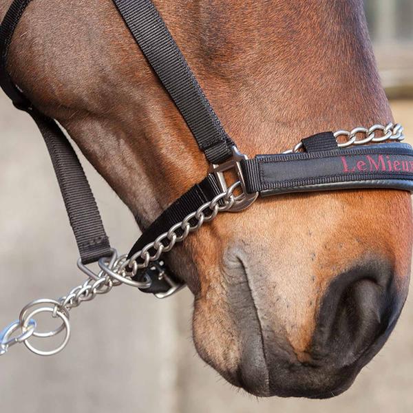 LeMieux Pro-Safe Headcollar