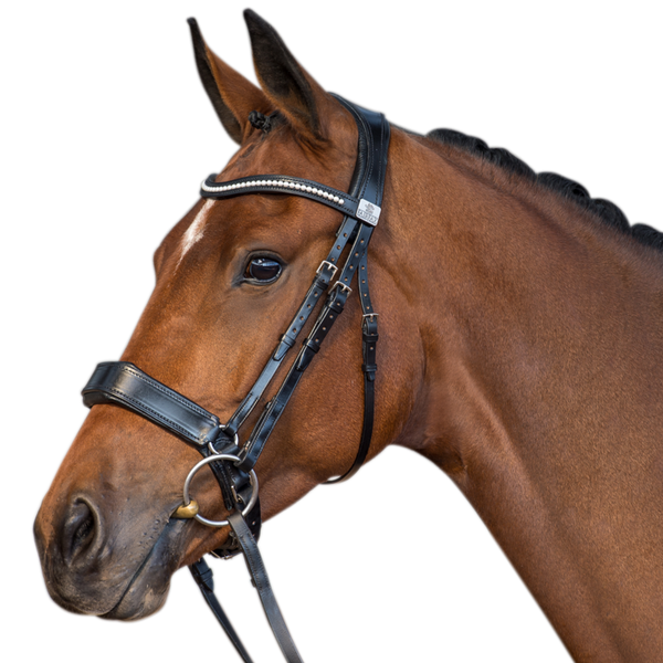 Fairfax Snaffle with Standard Cavesson Noseband