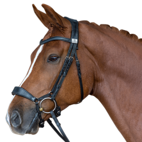Fairfax Snaffle Bridle with Drop Noseband