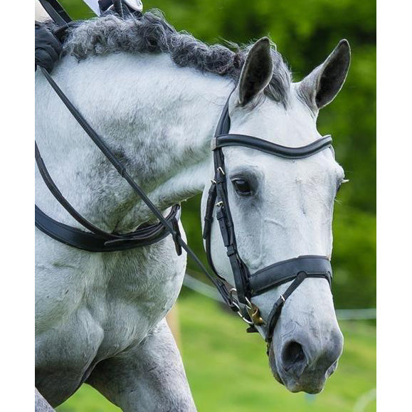 Fairfax Snaffle Bridle with Flash Noseband