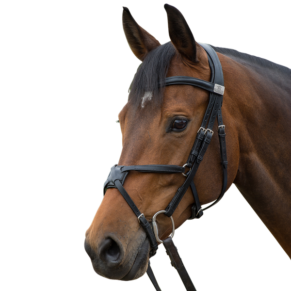 Fairfax Snaffle Bridle with Grackle Noseband