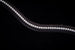 Fairfax Snaffle Bridle with Flash Noseband