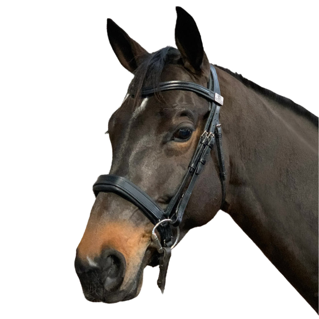 Fairfax Snaffle Bridle with Narrow Cavesson Noseband