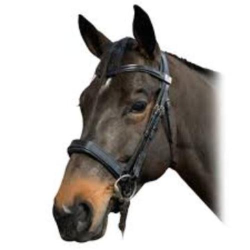 Fairfax Snaffle Bridle Narrow Noseband