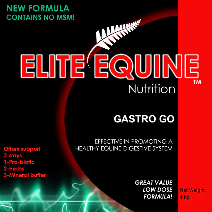 Gastro Go - For a Healthy Gastric System