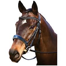 Fairfax Snaffle Patent Bridle - NEW...