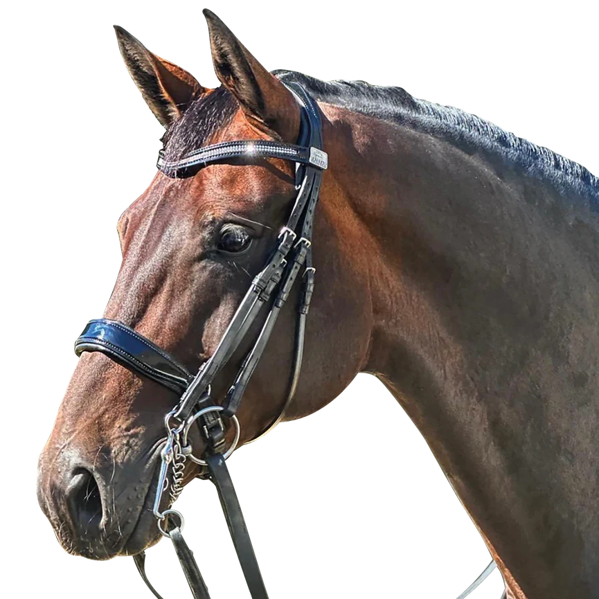 Fairfax Double Bridle with patent Noseband and Browband