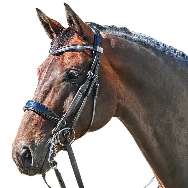 Fairfax Double Bridle with Patent Cavesson Noseband/Browband