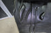 Fenmore Gp 16.5