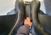 Loxley Dressage 17.5