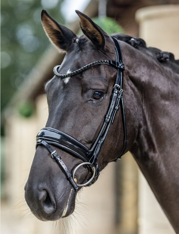 Kudos Patent Dressage Bridle