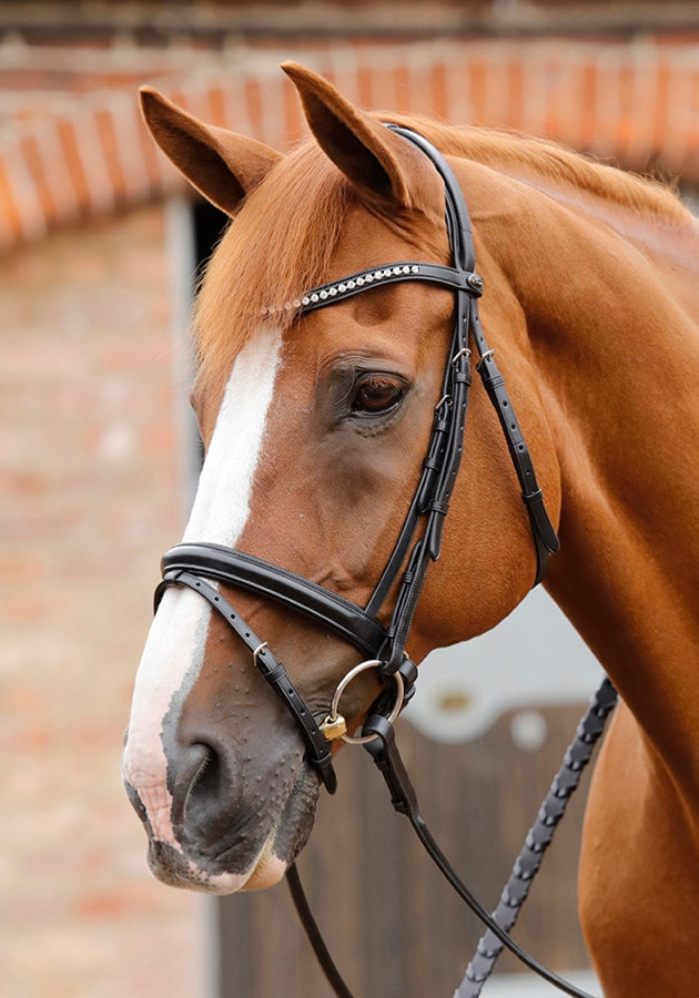 PE Sport Bellissima Crank Bridle with Diamante Browband