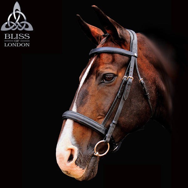 Bliss of London Loxley Ramiro Bridle